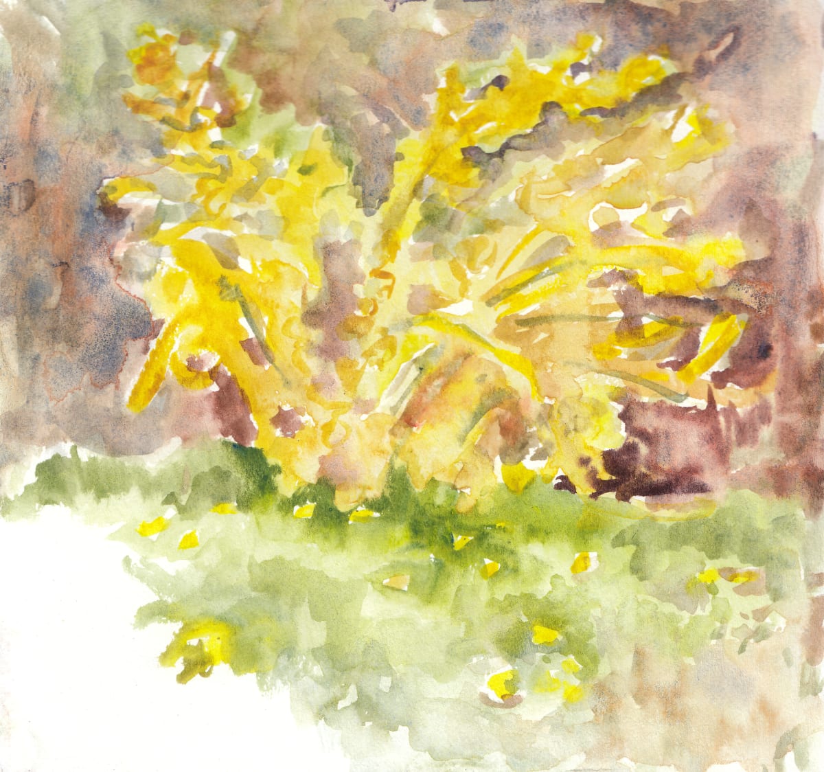 Forsythia by Abby McBride 