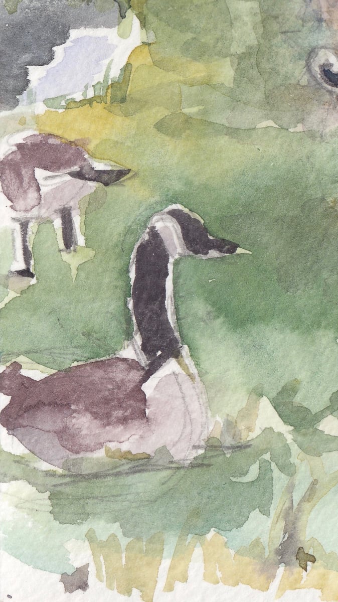 Goosescape by Abby McBride  Image: Sketched on Appledore Island in Maine.