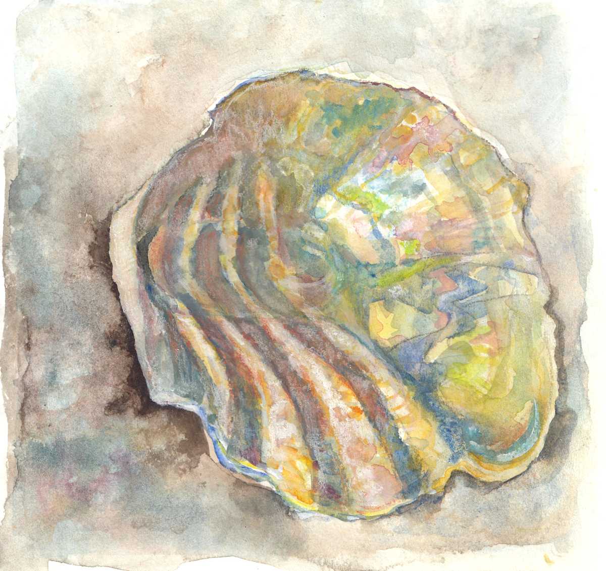 Jingle Shell by Abby McBride, Image 1.