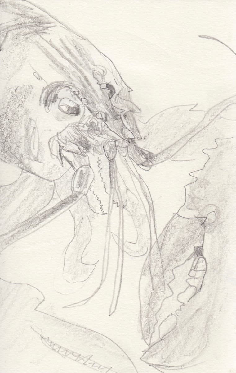 Lobster head by Abby McBride, Image 1.
