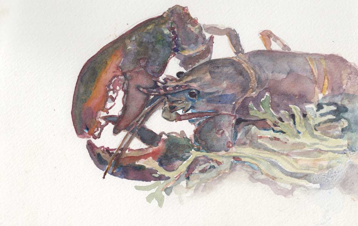 Lobster by Abby McBride, Image 1.