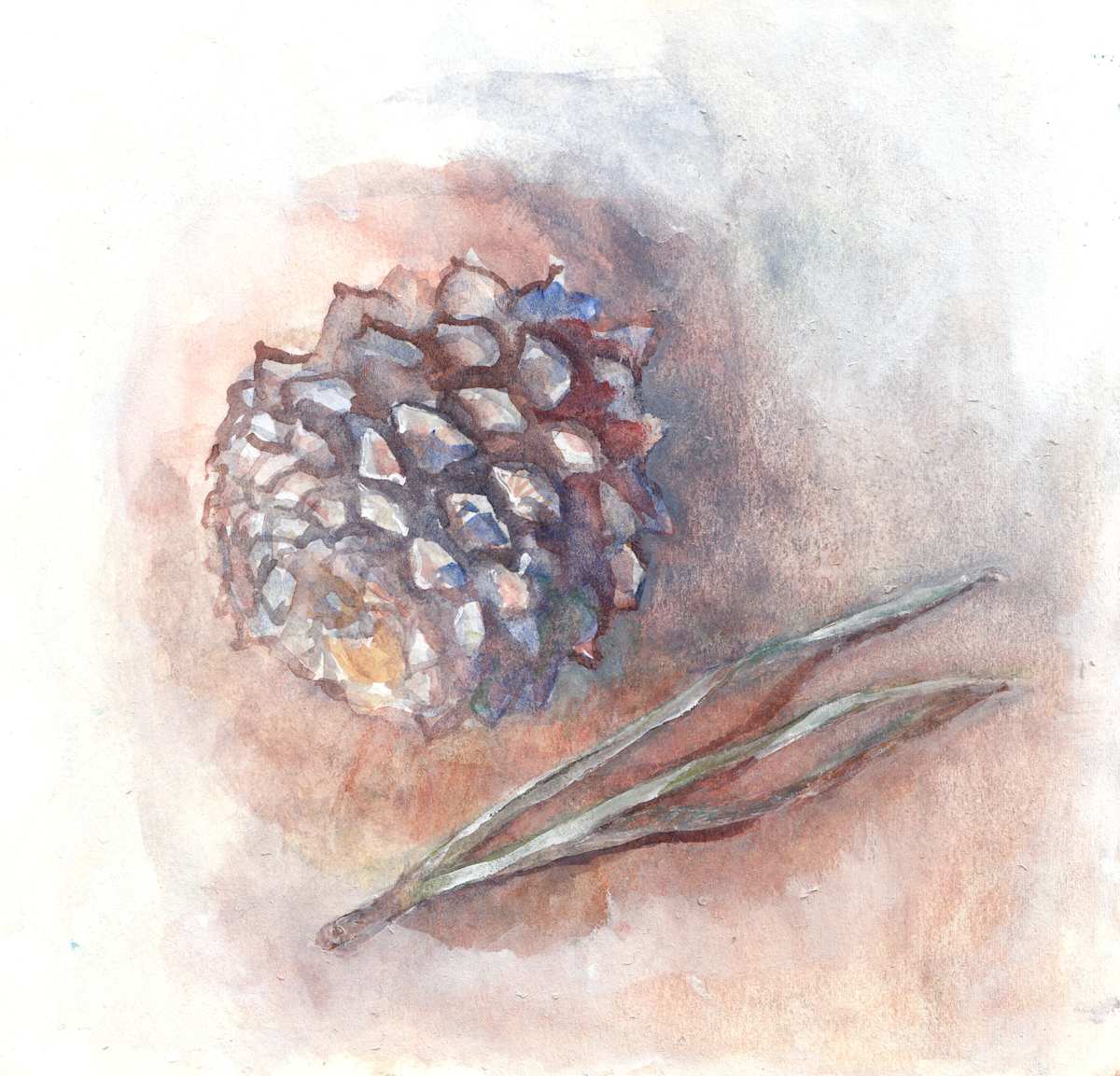 Pitch Pine by Abby McBride, Image 1.