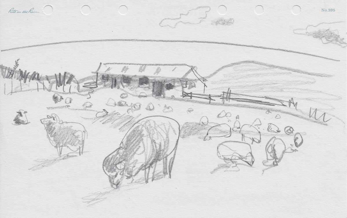Sheep Farm, Image 7.
