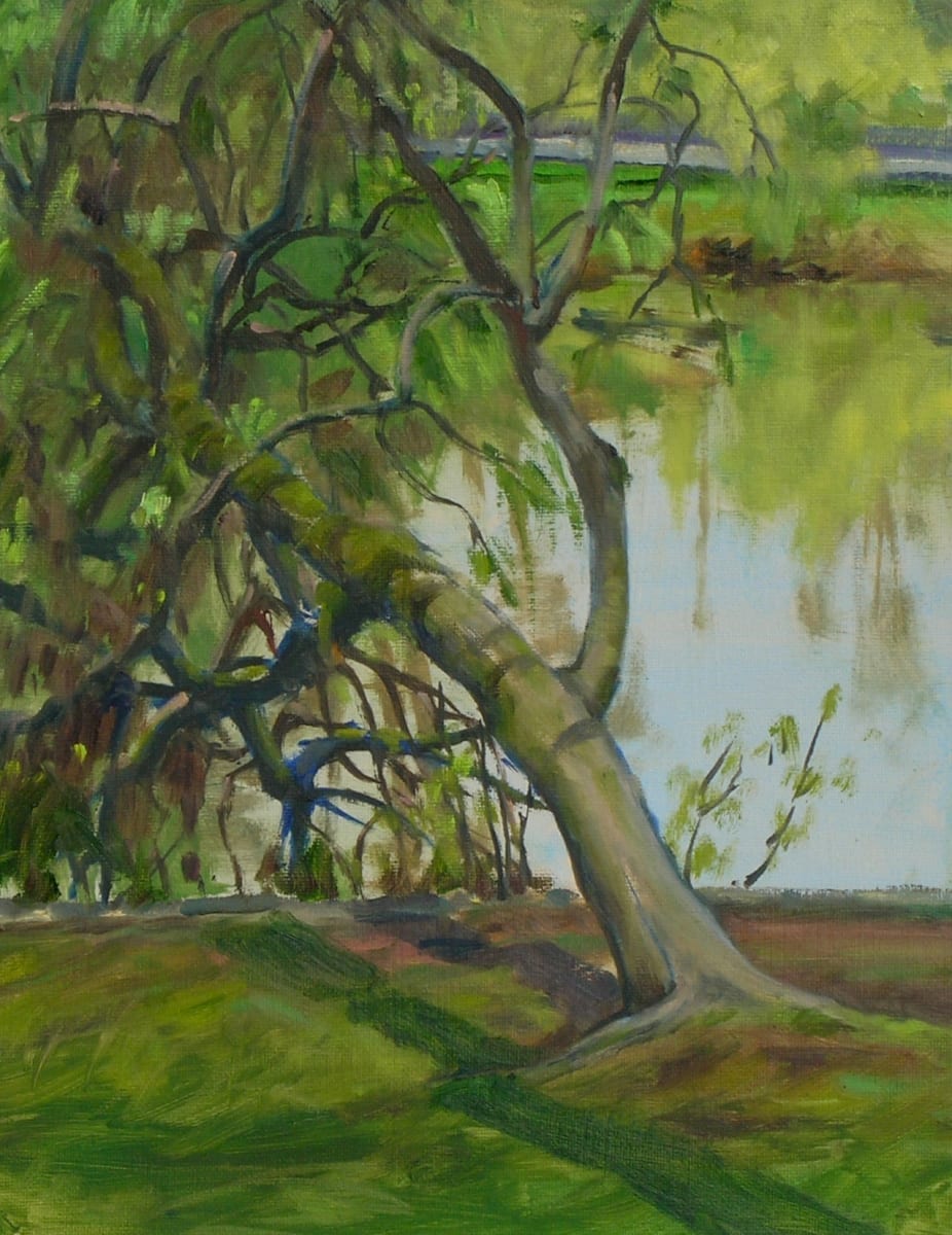 Bent for Water  Image: Painting on location at the Washington Park Arboretum in Seattle, WA.