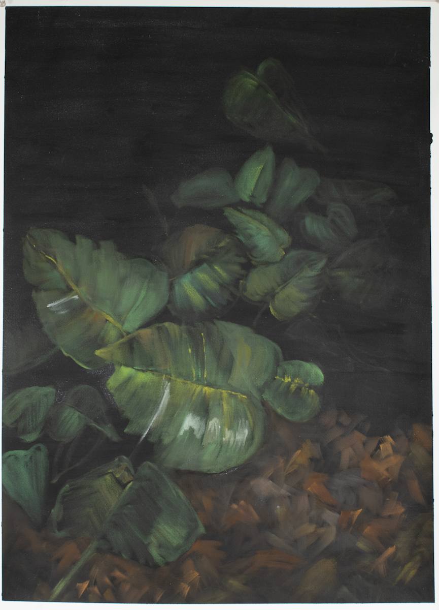 …amor de lejos… by Wanda Raimundi  Image: Part of the Pa'l Monte series of Panpastel works on paper, dedicated to the flora of my maternal homeland of Puerto Rico. 
