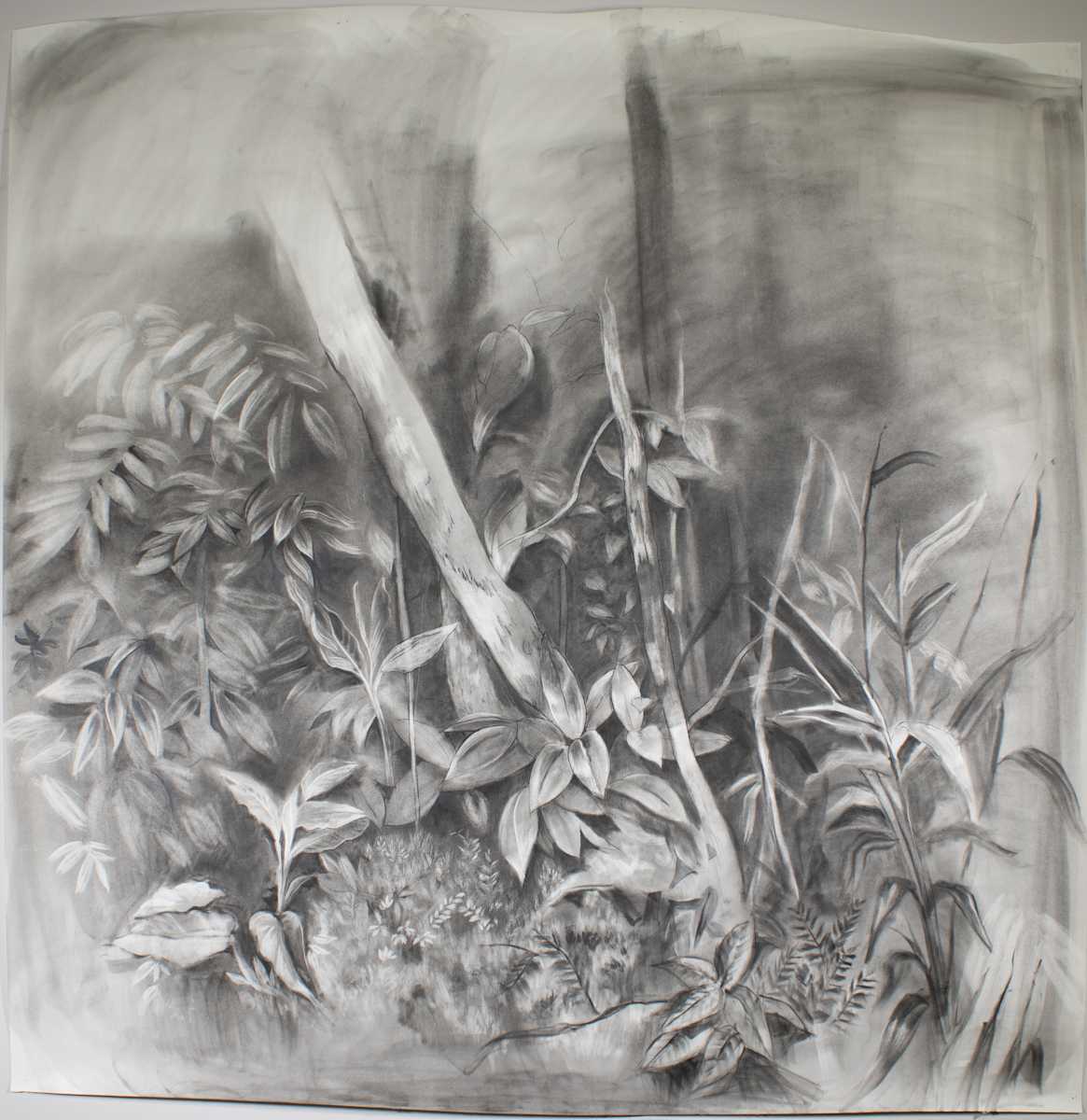 Las Hermanas (El Yunque)  #4  48”x48” by Wanda Raimundi, Image 1.