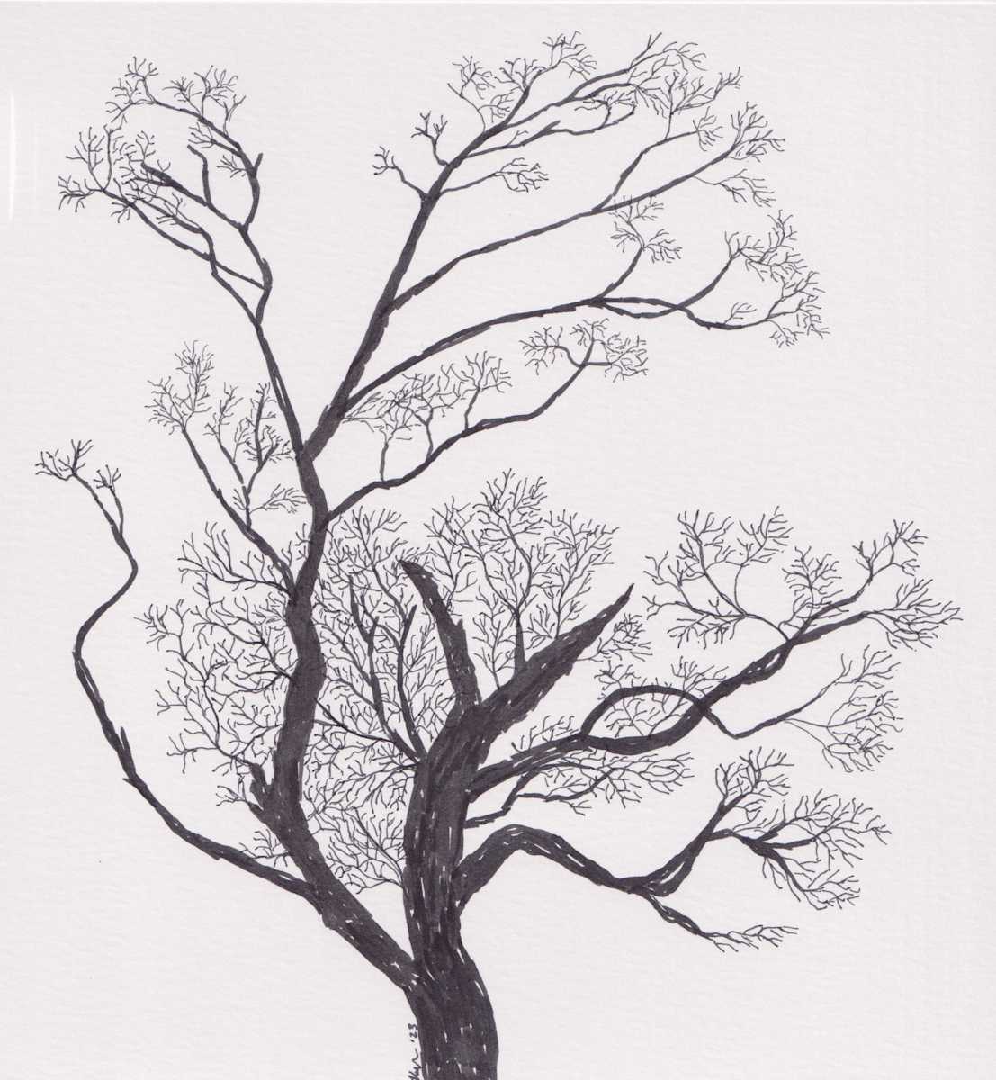 Tree in January by Kimberly McGraw Moore, Image 1.