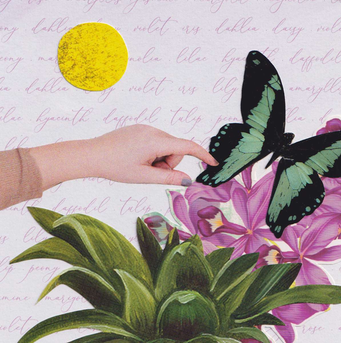 Untitled by Kimberly McGraw Moore 