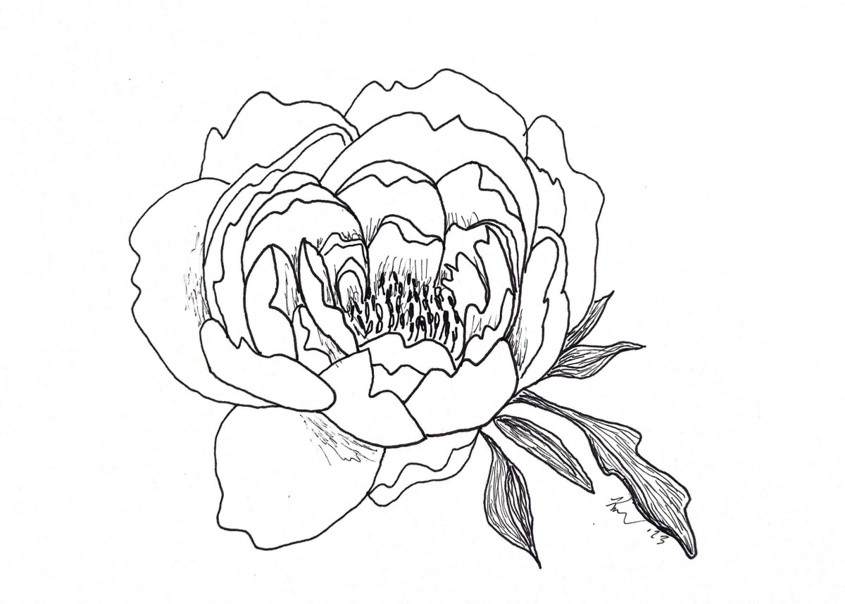 Peony by Kimberly McGraw Moore, Image 1.