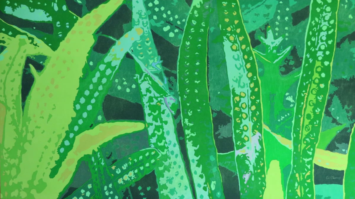 Gecko, Image 1.