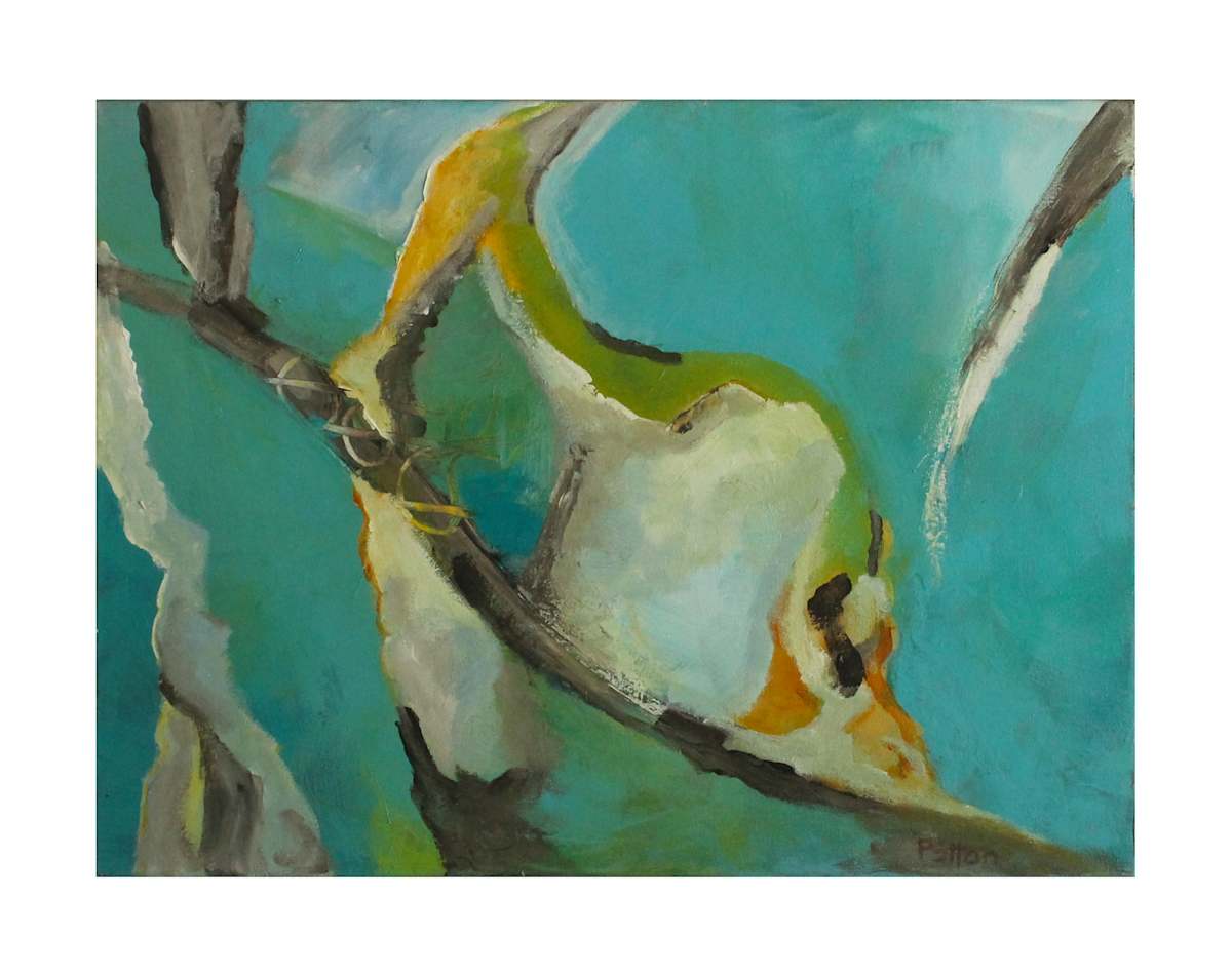 Go Fish, Image 1.