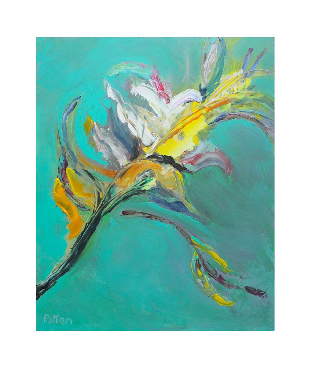 Blooming Iris by Holly Patton, Image 1.
