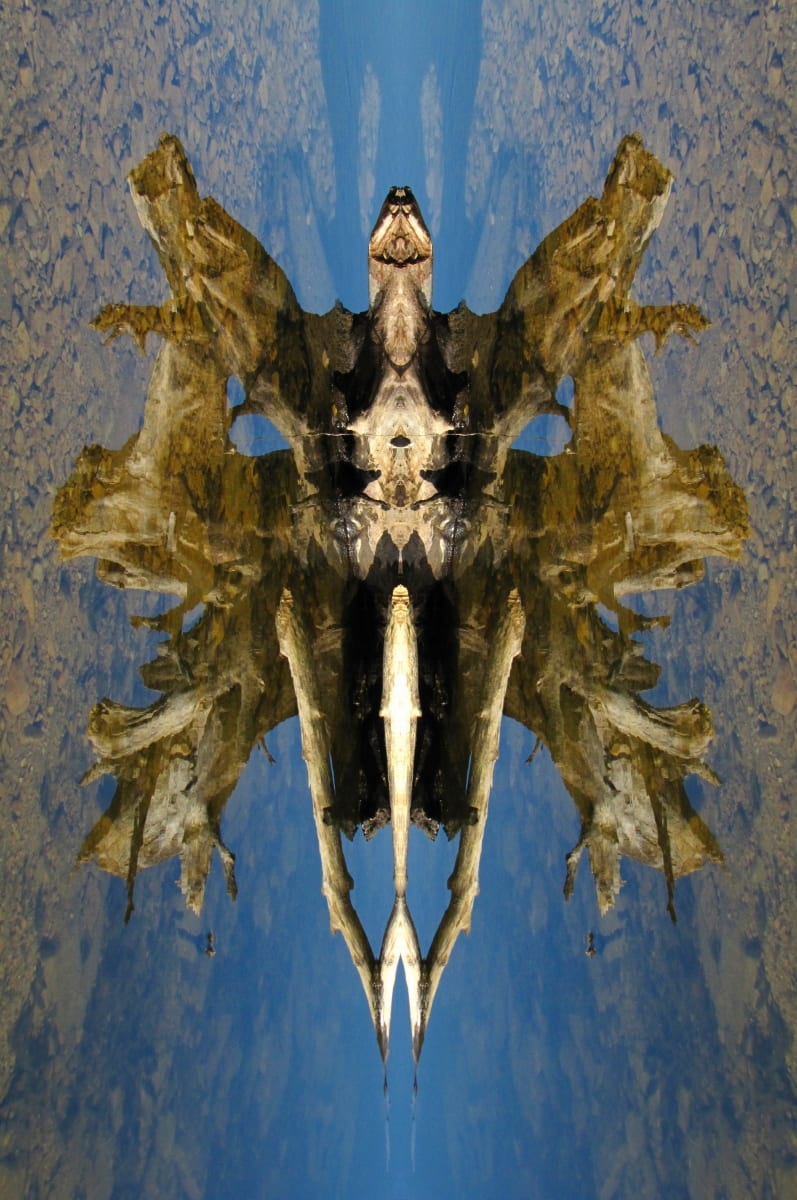 Gothic Wood 1 by Kenneth F. Konjevich 