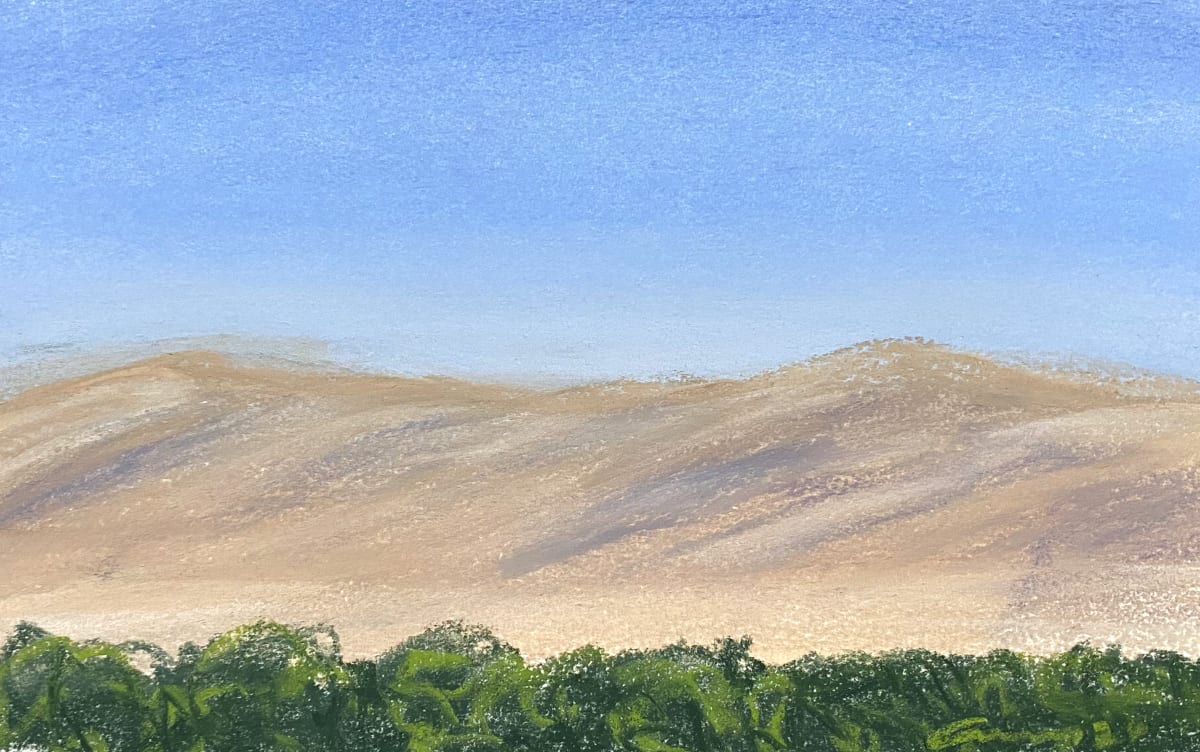 US101 San Miguel, Califirnia by Anne M Bray 