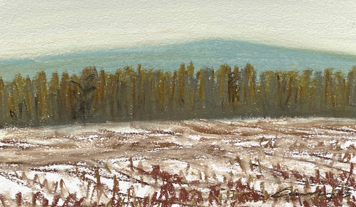 Winter Cornfield by Anne M Bray 
