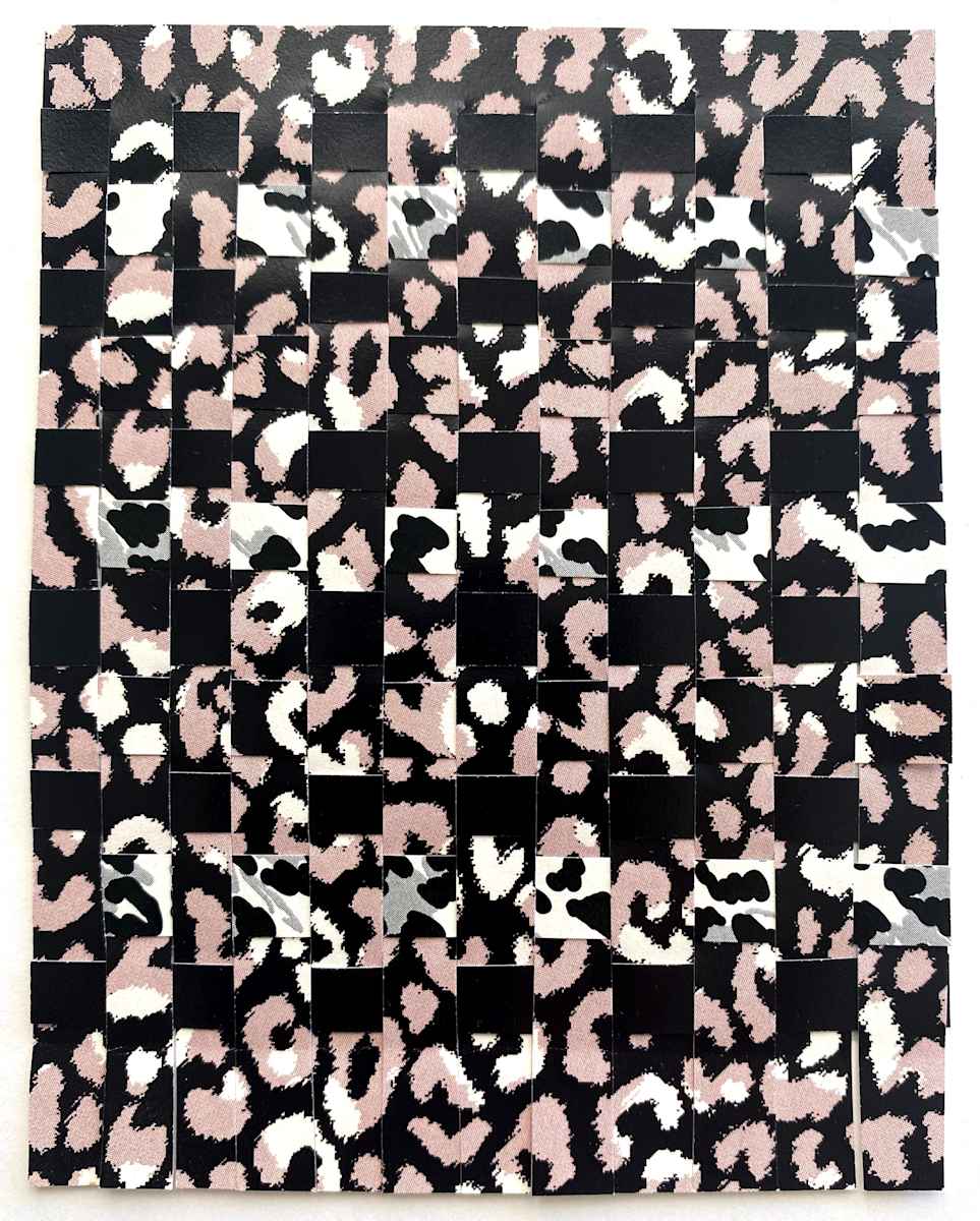 Double Leopard Dark Detritus Weave by Anne M Bray, Image 1.