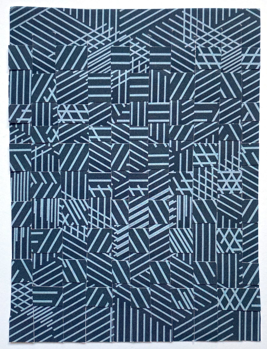 Chaos Lines Detritus Weave by Anne M Bray 
