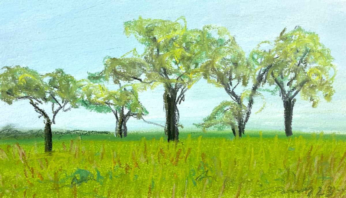 US 98, Alabama by Anne M Bray 