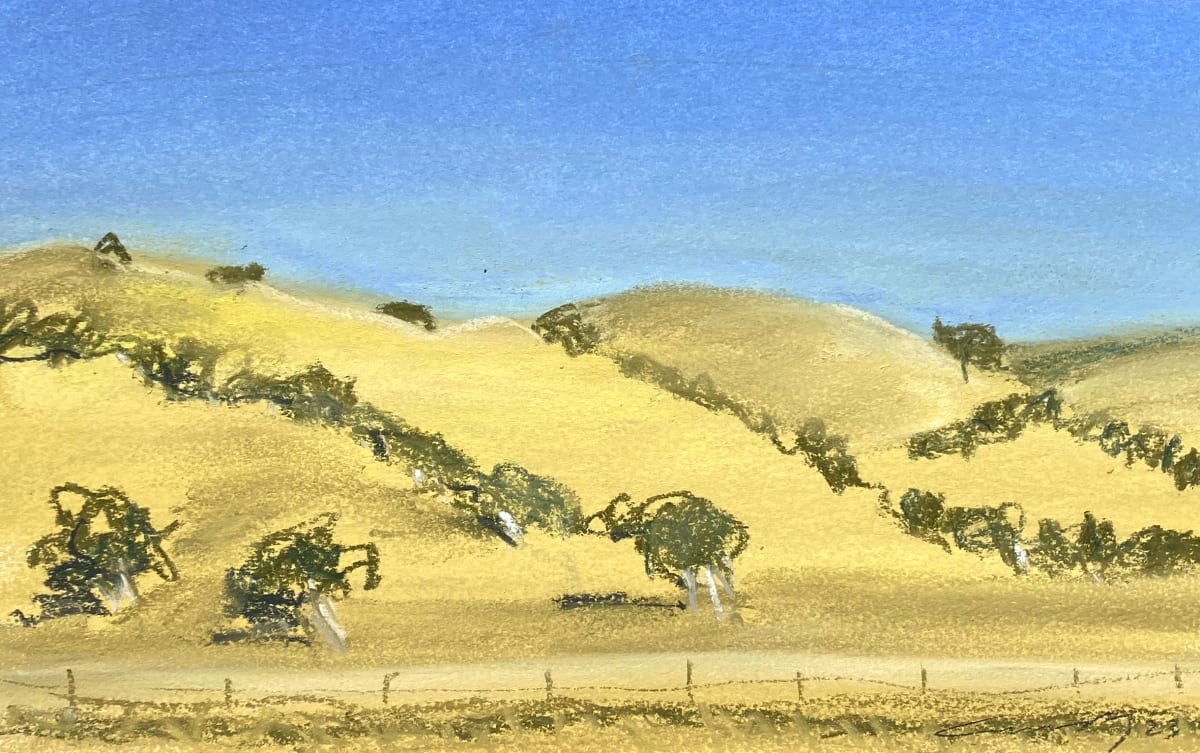 Camp Roberts, US101, California by Anne M Bray 
