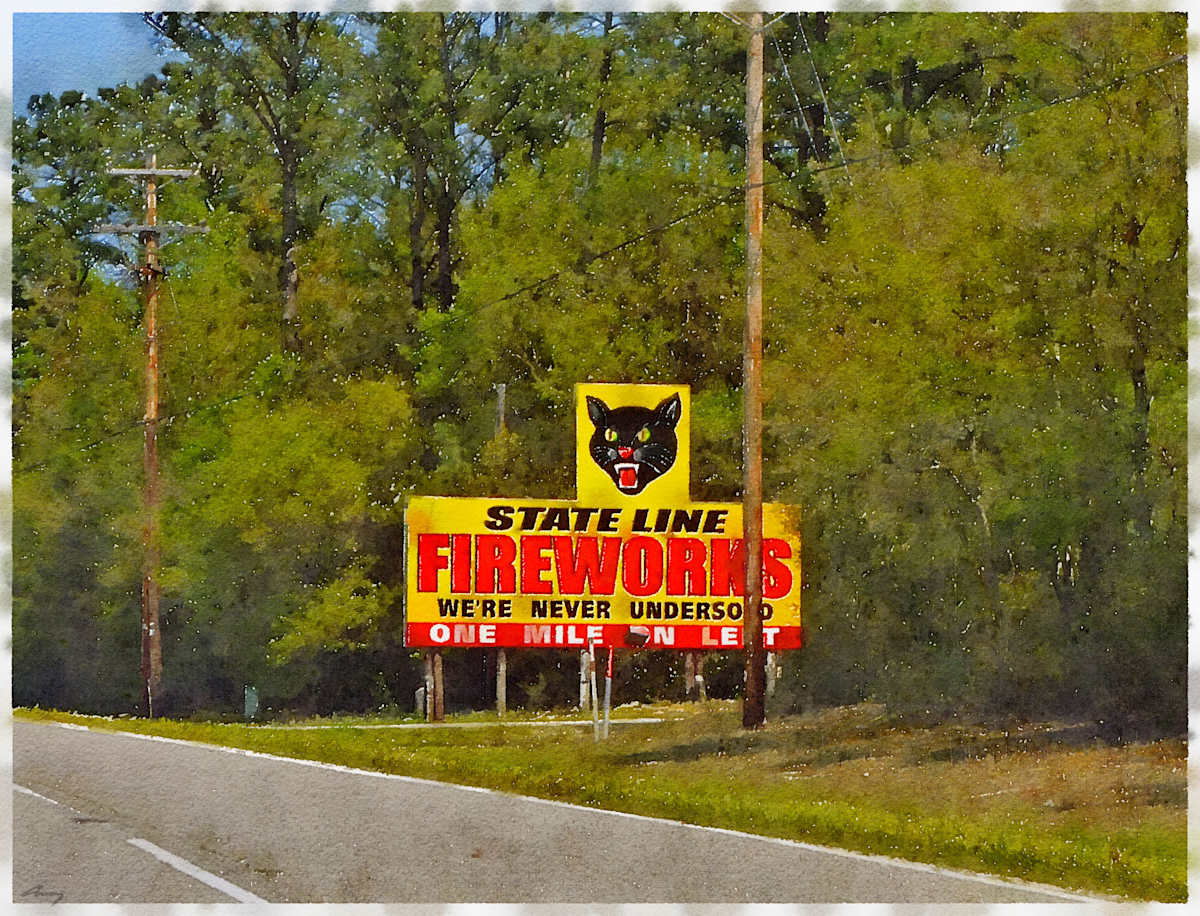 Fireworks, South Carolina by Anne M Bray 