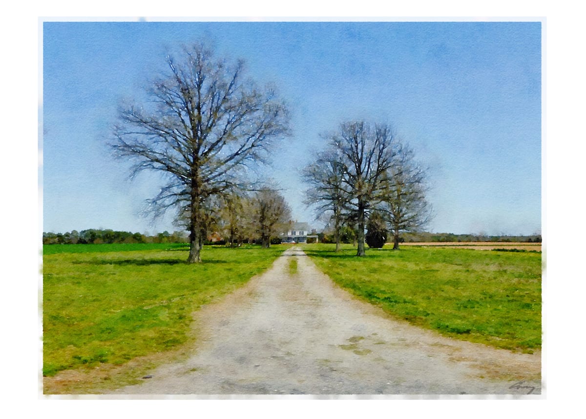 Long Driveway, Virginia by Anne M Bray 