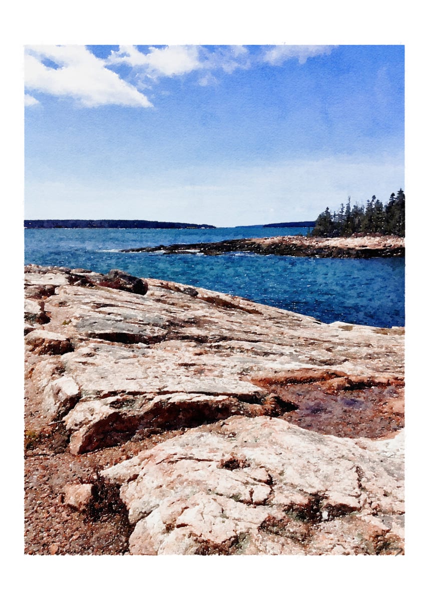 Maine Coast by Anne M Bray 