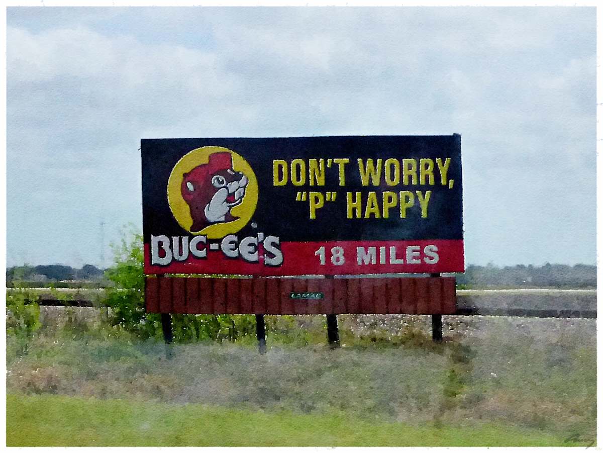 P-Happy, Texas by Anne M Bray 