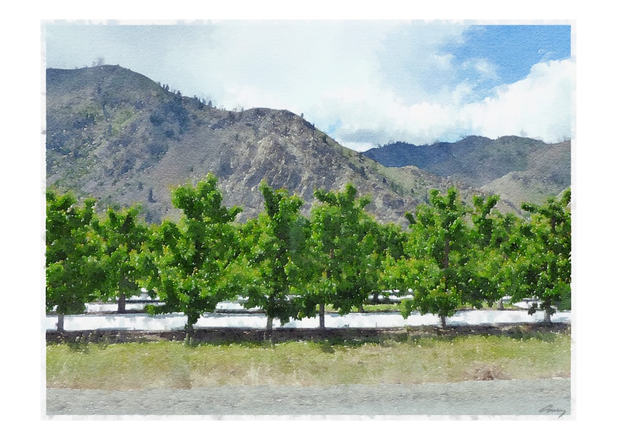 Wenatchee Washington by Anne M Bray 