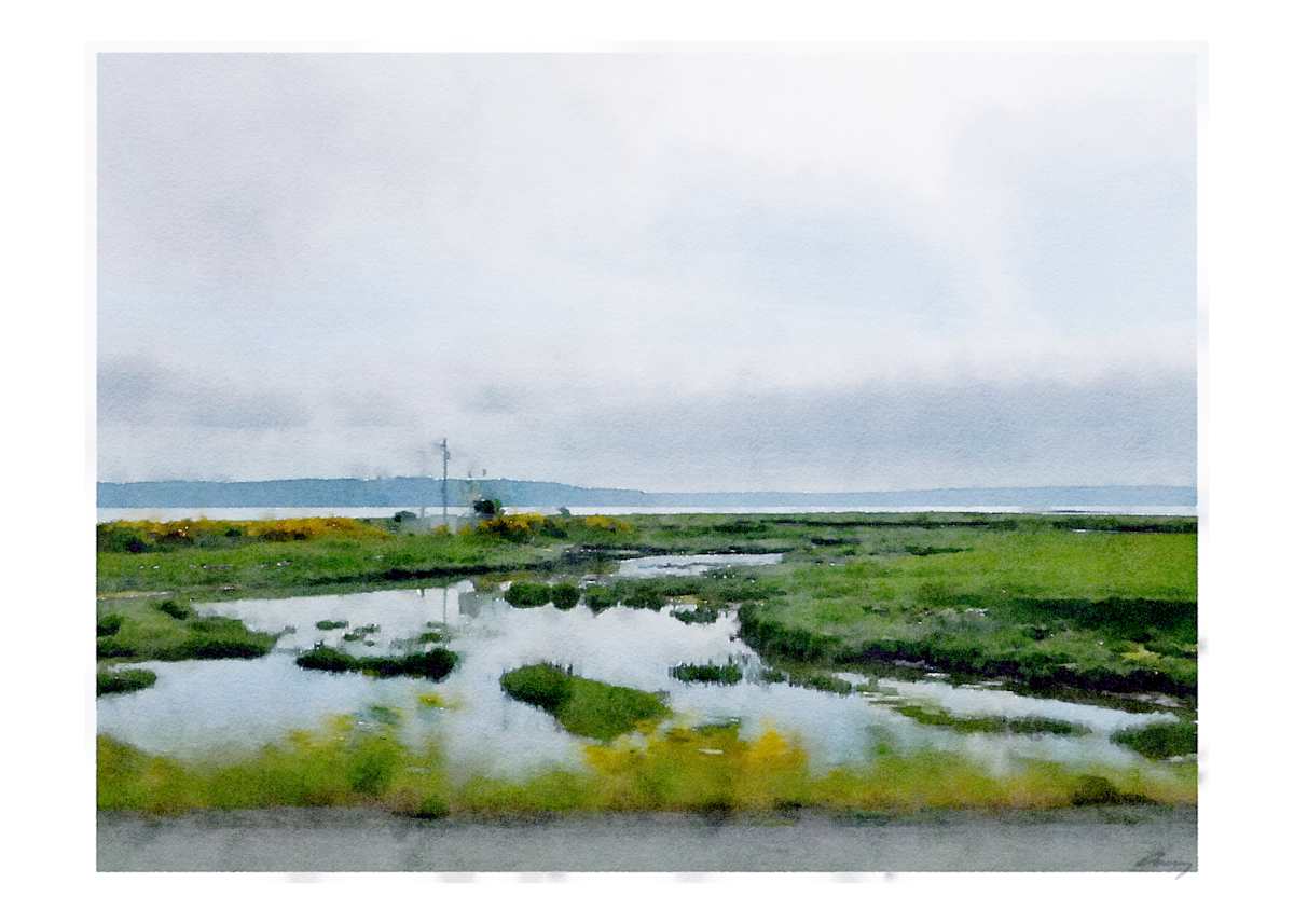 Hama, US101, Washington by Anne M Bray 