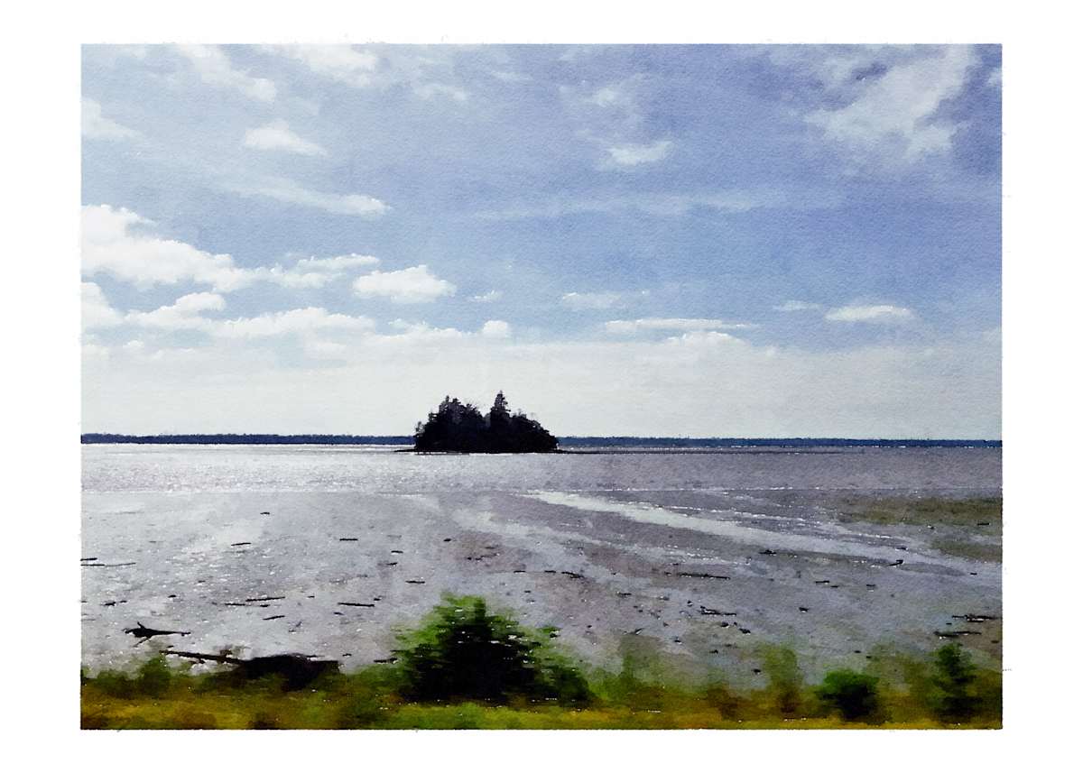Pacific Coast, US101, Washington by Anne M Bray 