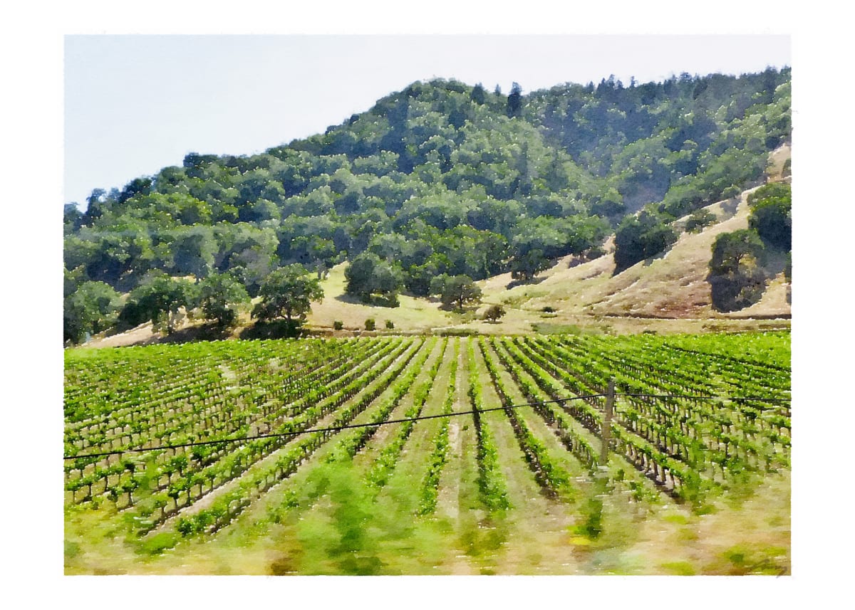 US101, Sonoma County, CA by Anne M Bray 