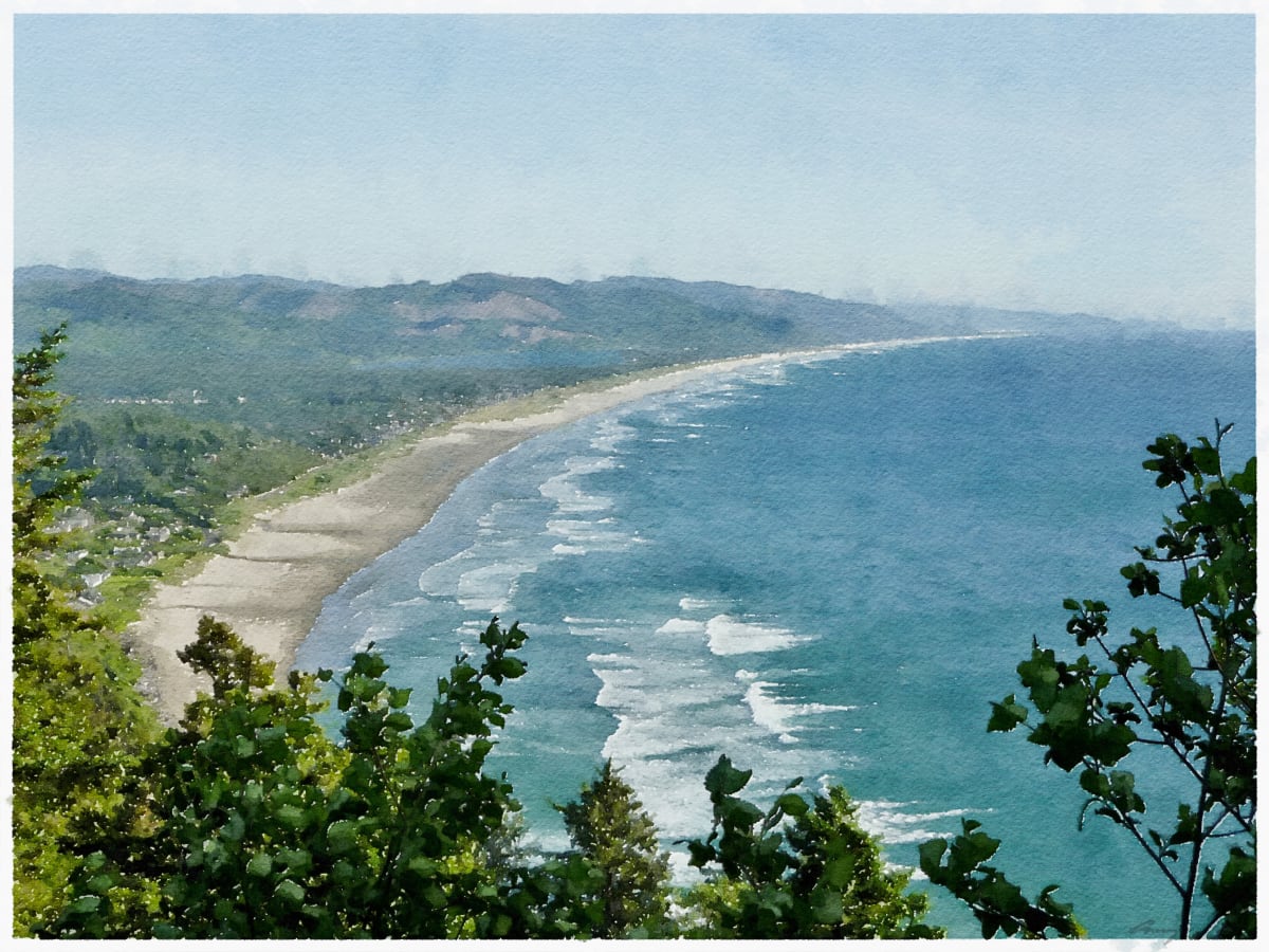 Beach Vista, Oregon by Anne M Bray 