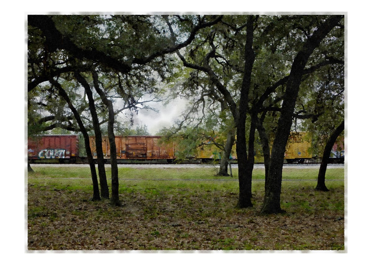 Train, Eastern Texas by Anne M Bray 