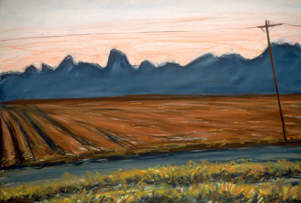 Arizona Fields at Sunset by Anne M Bray 