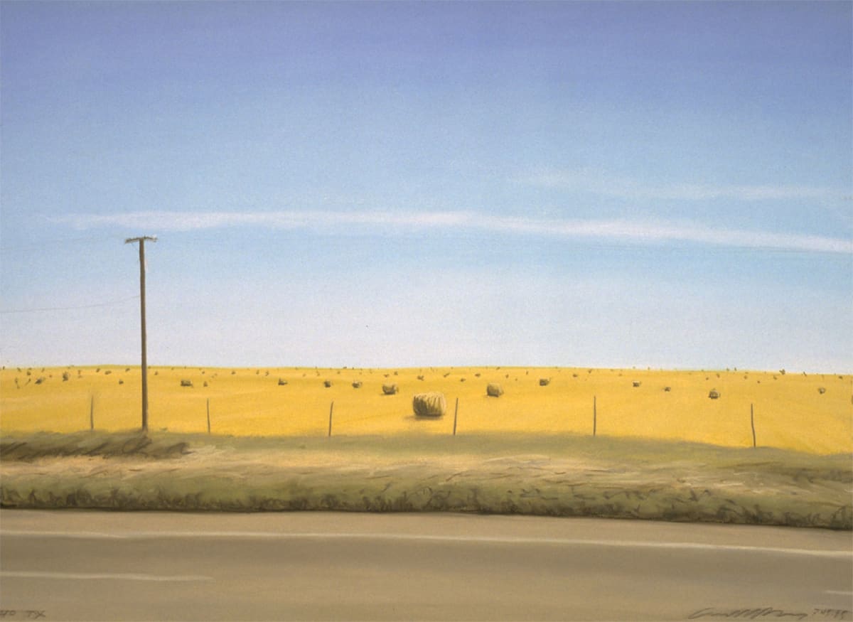 Hay Bales, Texas by Anne M Bray 