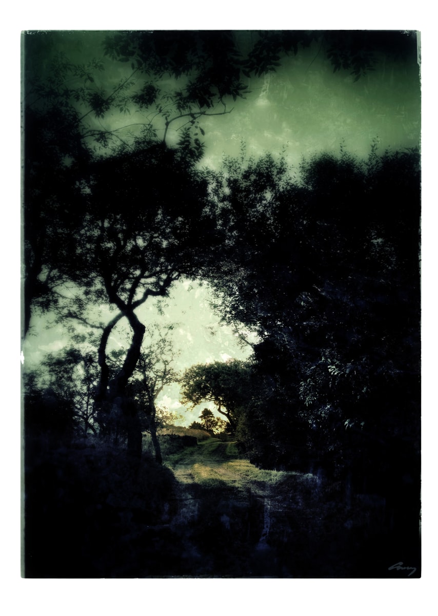 Dark Path by Anne M Bray, Image 1.