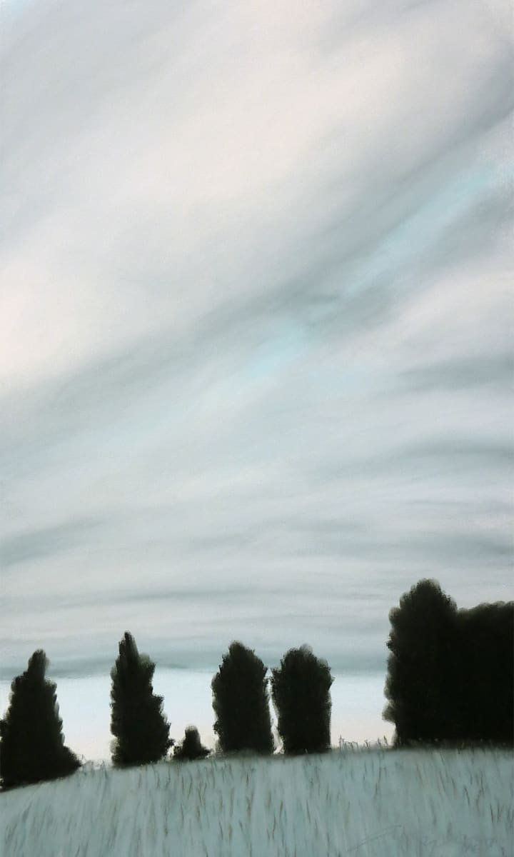 Kentucky Winter by Anne M Bray 