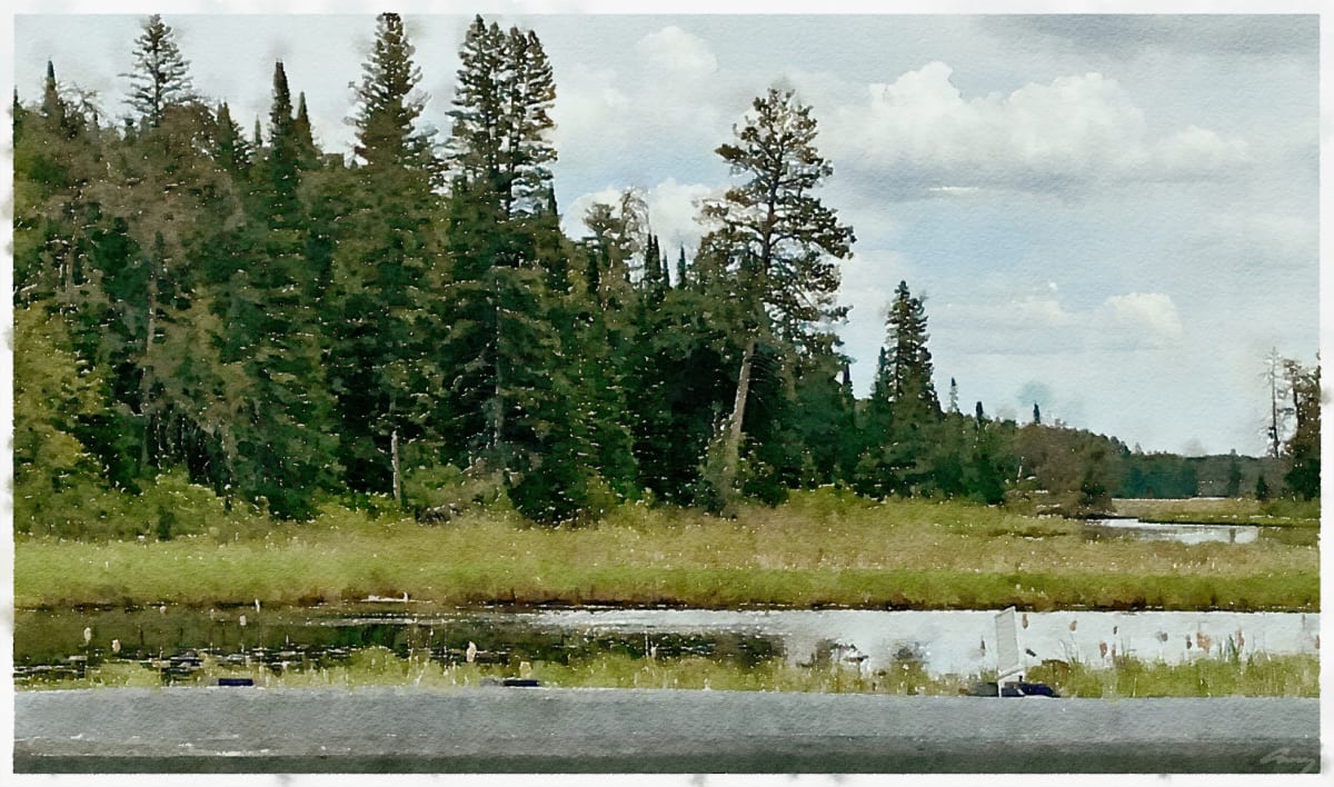 Log Creek Ontario by Anne M Bray 