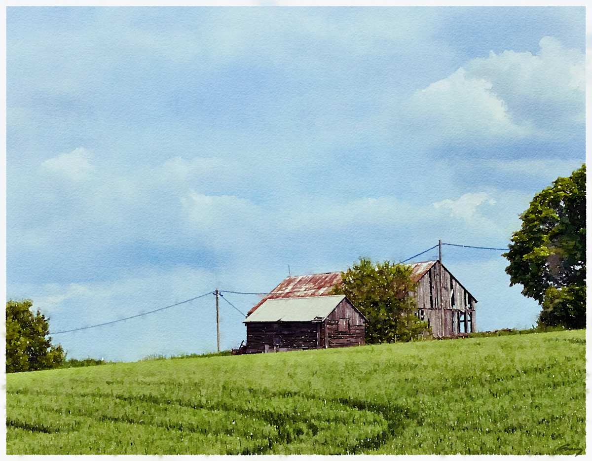 Old Barn, Brechin Ontario by Anne M Bray 