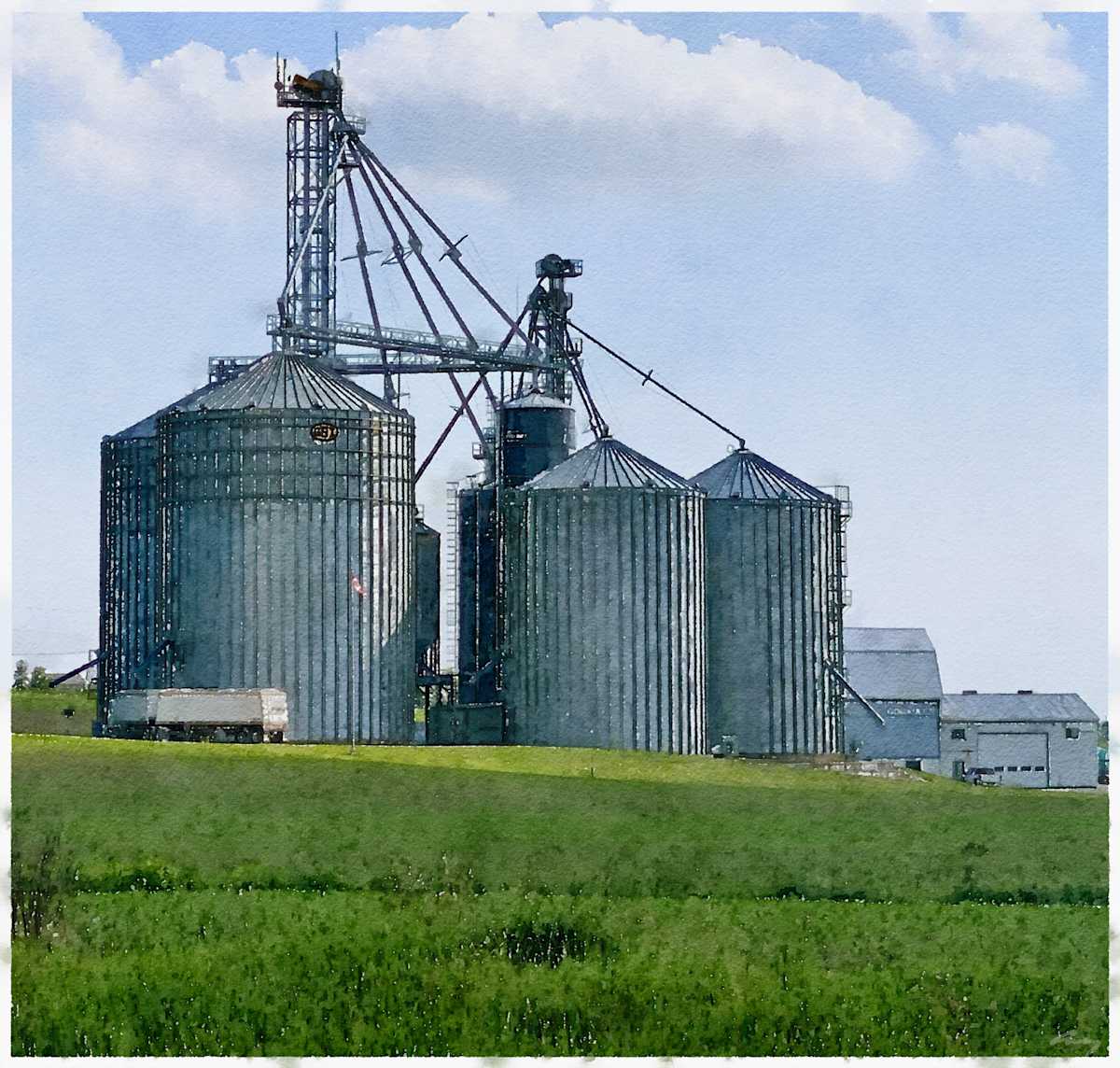Silos, Sunderland, Ontario by Anne M Bray 
