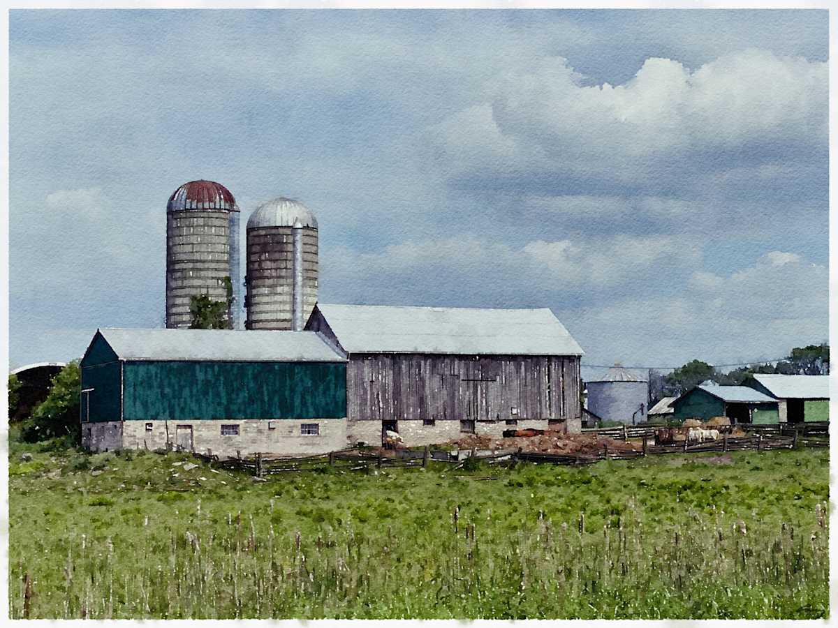 Farm, Brechin Ontario by Anne M Bray 
