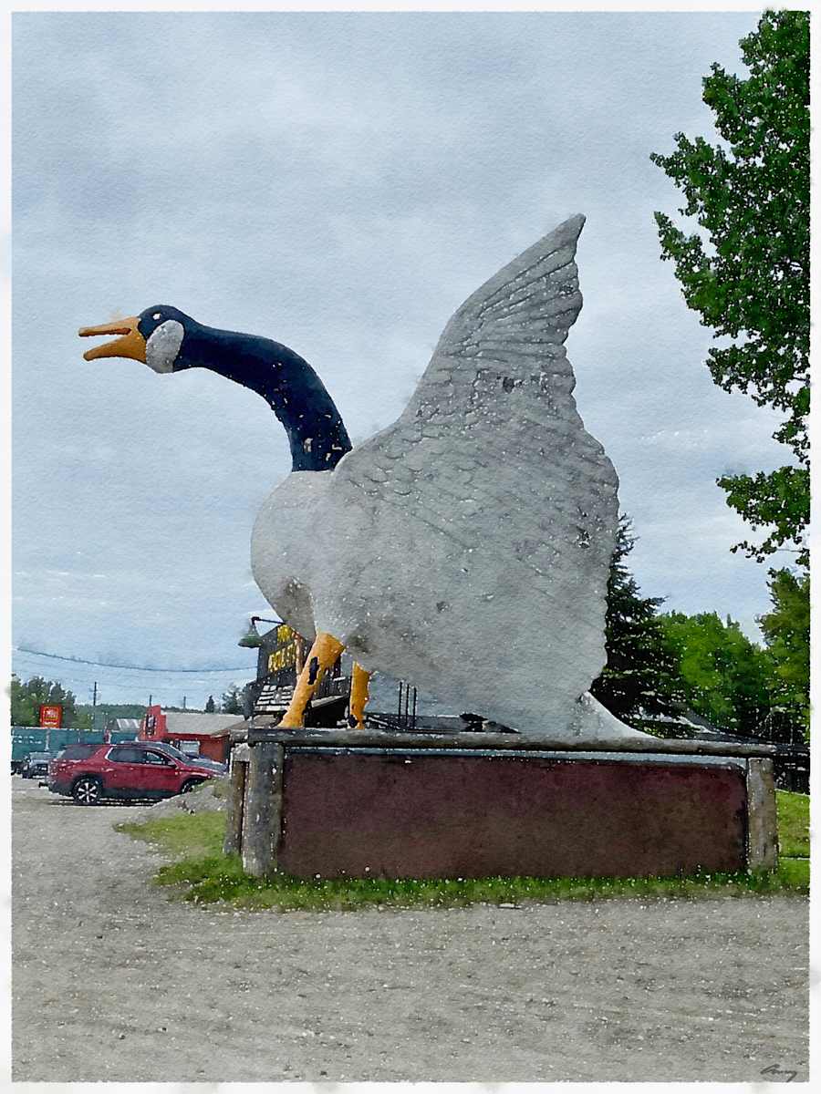 Giant Goose 2, Wawa Ontario by Anne M Bray 