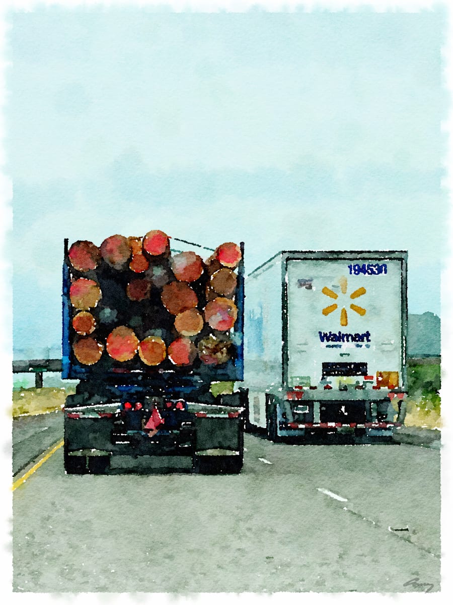 Logging Truck by Anne M Bray 