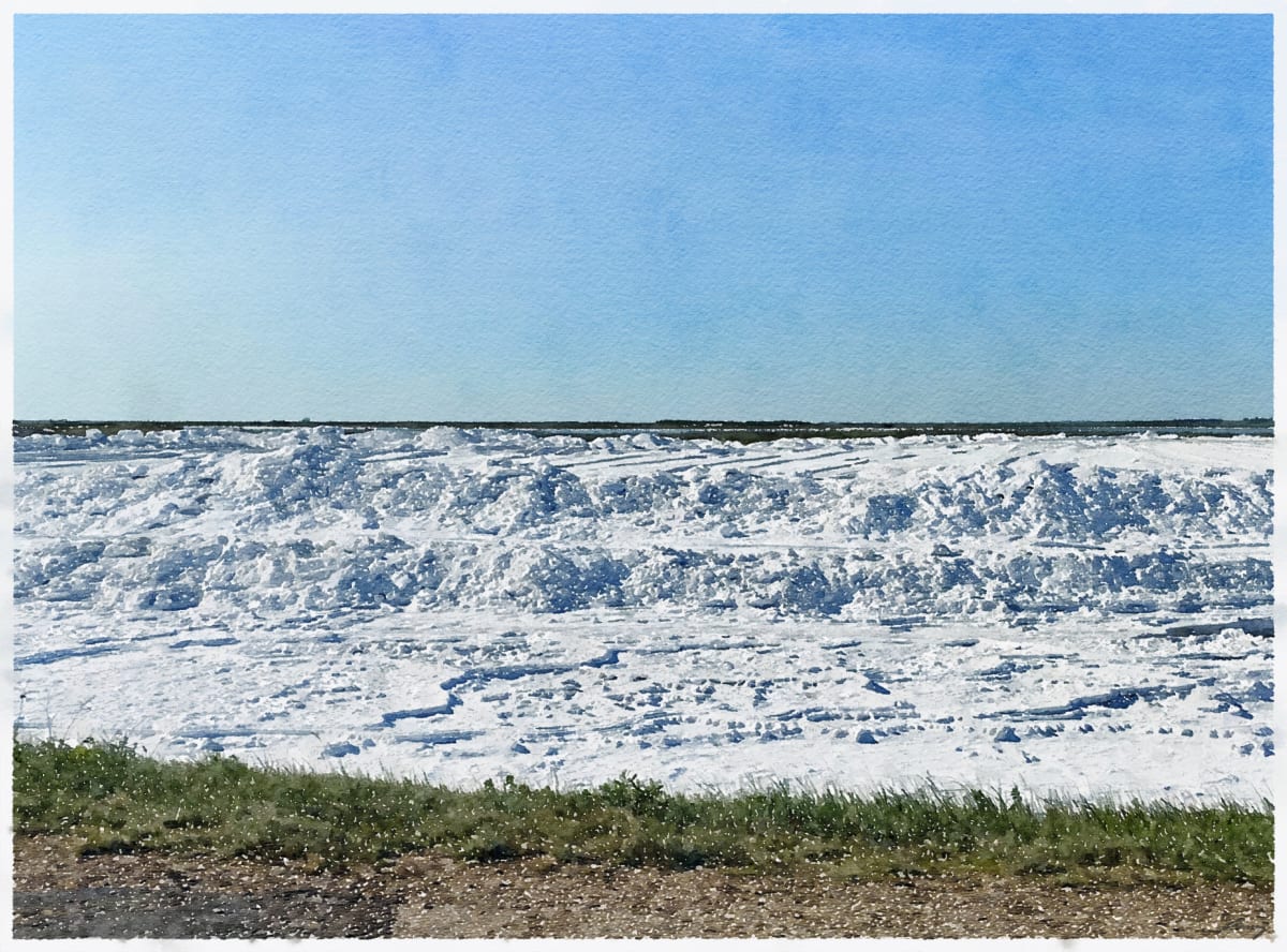 Chaplin Saskatchawan by Anne M Bray 