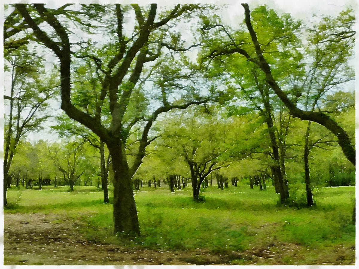 US98, Alabama by Anne M Bray 