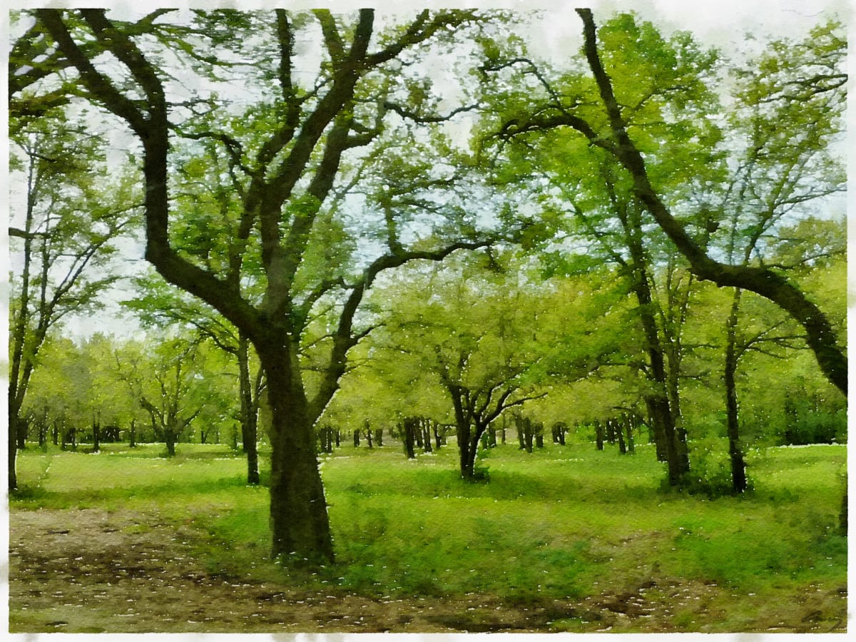 US98, Alabama by Anne M Bray 