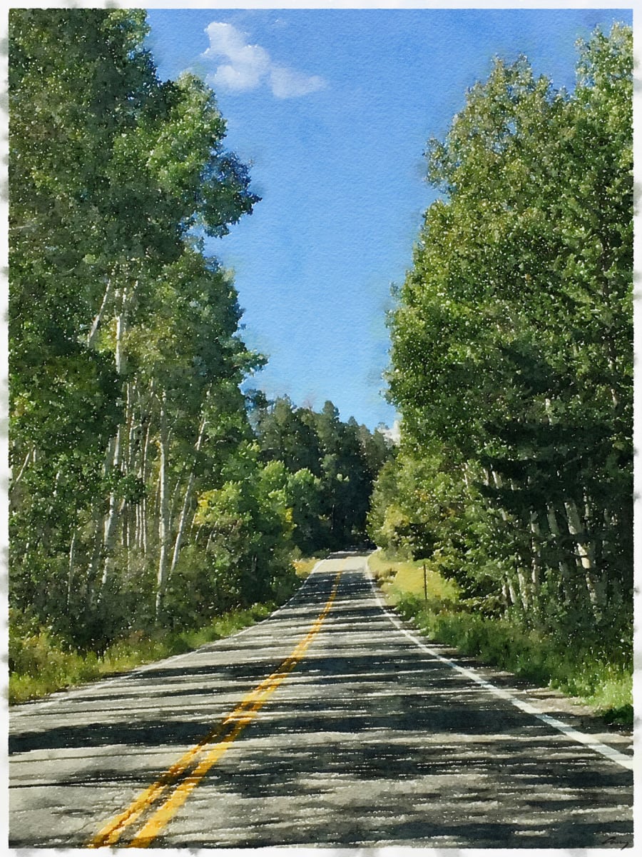 Road Through Aspens by Anne M Bray 