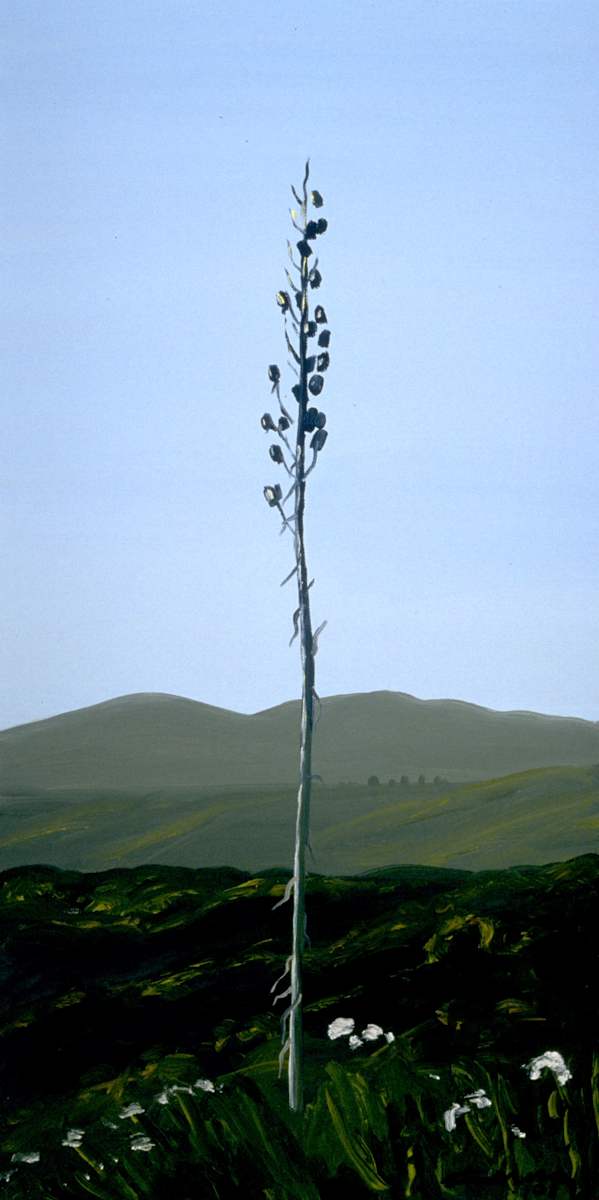 caYuc6-20 by Anne M Bray, Image 10.