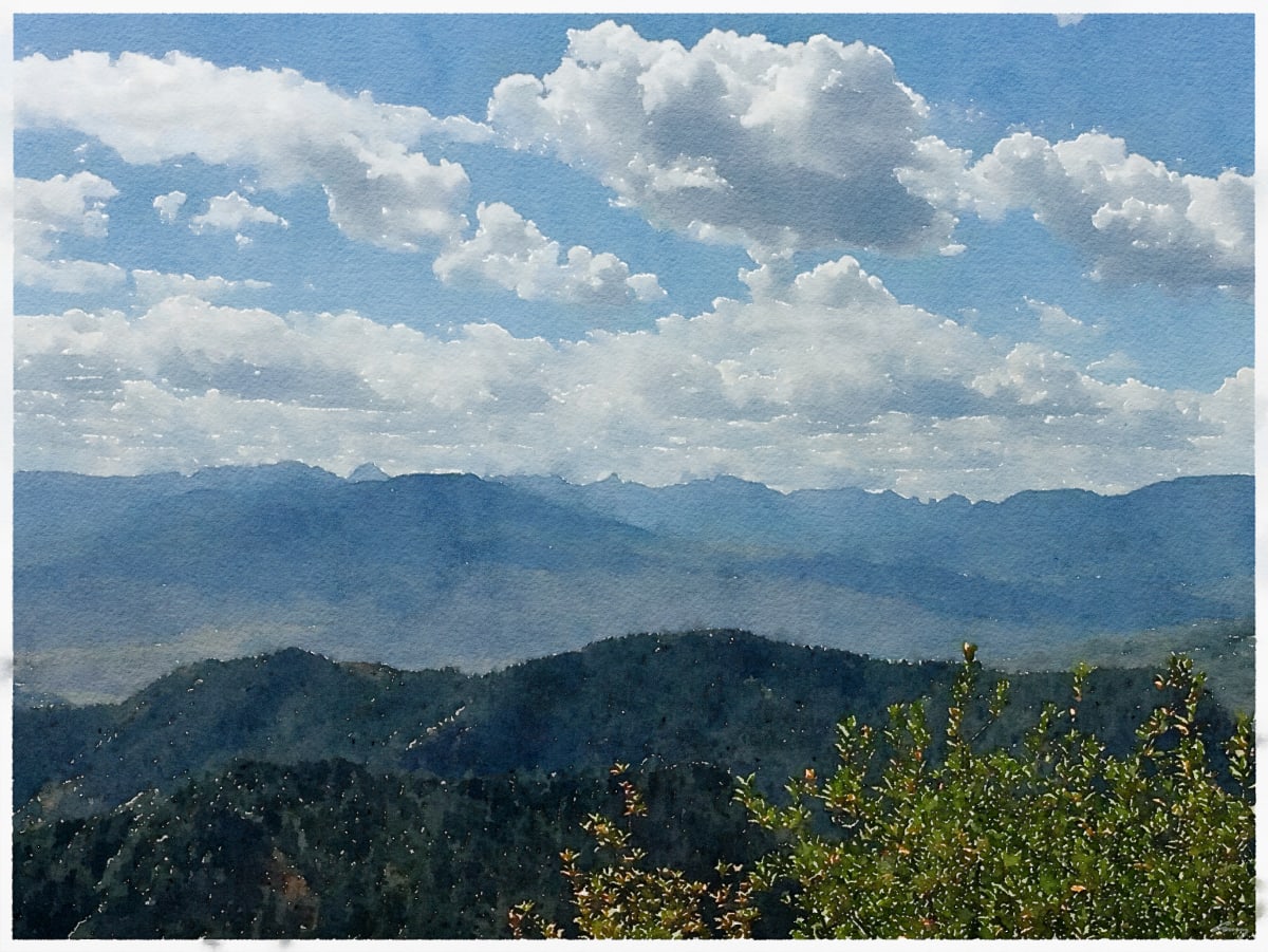 Colorado Vista by Anne M Bray 