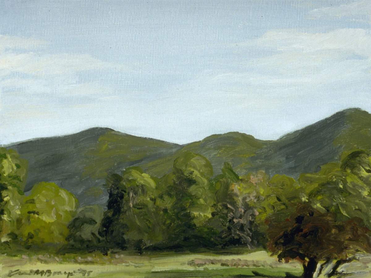 Field at Sunset (small) by Anne M Bray, Image 4.